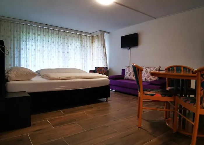 Lejlighed Fernsicht Crystal Adelboden