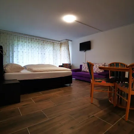 Appartement Fernsicht Crystal Adelboden